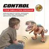 Remote Control T-Rex Dinosaur Robot Toy, Electronic Walking T-Rex Dinosaur with Roaring Sounds, Lights & Spray, Realistic Jurassic Rex Toy for Kids