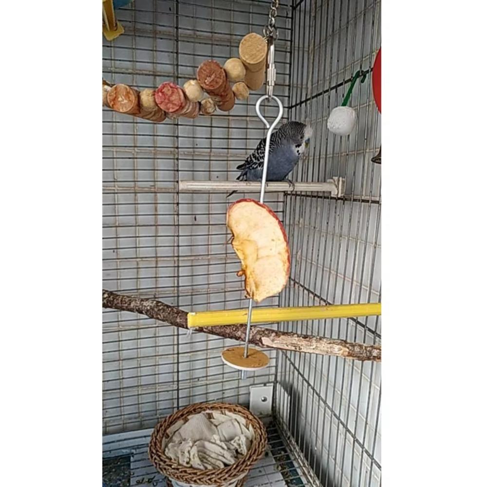 Stainless Steel Bird Feeder Skewer for Parrots Durable Fruit/Meat Holder Cage Perch Food Feeding Stick Pet Bird Accessories 1PC