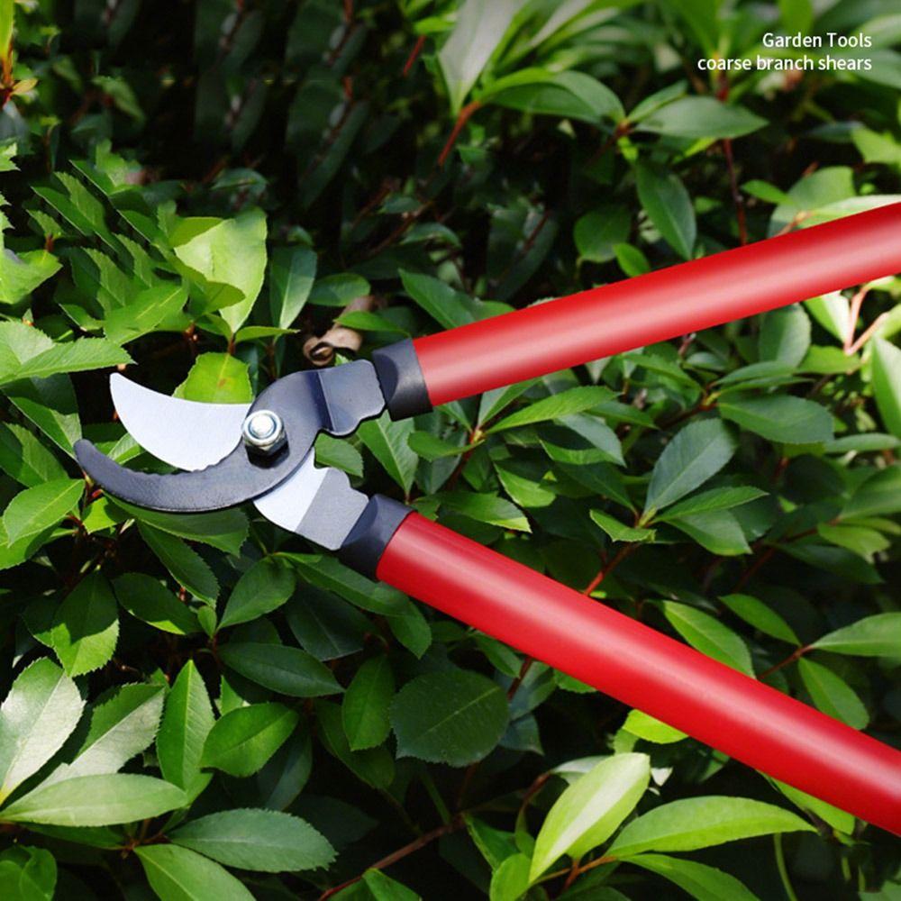 Non Slip Portable Pruner Long Handle High Branch Shear Coarse Branch Cutter Fruit Tree