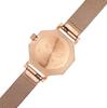 Watch VOLARE OKTO ROSE GOLD 28mm OK18RG004S Regular Import Pink Gold [Class Fourteen] Women's