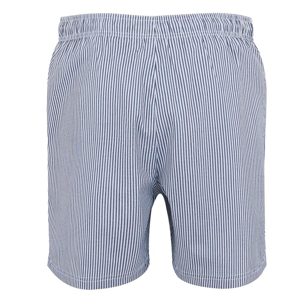 Regatta Mens Loras Stripe Seersucker Swim Shorts