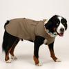 ANGEL DOG Premium Trench Welpen Regenmantel Khaki