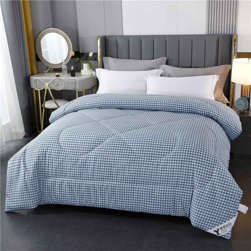 Youth Dream All-Season Quilt Comforter