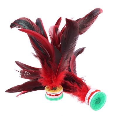 2Pcs China Jianzi Colorful Fancy Feather Shuttlecock For Fitness Entertainment