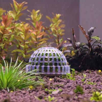 Moss Hemisphere Colonization Ball Aquarium Shrimp Fish Tank Moss Balls Holder Freshwater Live