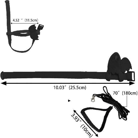 Dnoifne Smycz i Szelki dla Papugi Ptaka, Regulowany Design Treningowy Zapobiegający Gryzieniu, Ptasi Nylonowy Sznurek z Uroczy Skrzydłem dla Papug, Odpowiedni dla Szkarłatnej,