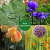 5/10/15Pcs 40cm Plant Support Stakes, Garden Single Stem Stake Amaryllis Cage Rings for Tomatoes Orchid Lily Peony Rose Flower