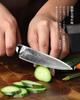 Premium PAUDIN Paring Damascus VG10 Stainless Steel with G10 Fruit Knife for and Gift [Shoun] Knife, 127mm, 67-Layer Handle, Double-Edged,