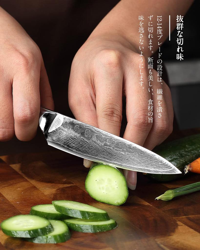 Premium PAUDIN Paring Damascus VG10 Stainless Steel with G10 Fruit Knife for and Gift [Shoun] Knife, 127mm, 67-Layer Handle, Double-Edged,