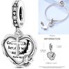 Inlaid Zirconium Sun 925 Silver Travel Balloon Butterfly Love Family Sister Heart Charm Fits Women Jewelry