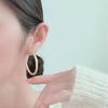 Exaggerated Metal Minimalist Geometric Hoop Earrings Fashionable High End Large Earrings For Women