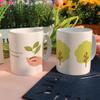 ga934-Design Mug 2p-Green Tree Planting Lettering Ver.
