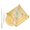 Acrylic Ant Breeding Box Transparent Watching Feeding Case Ants House Toy for Children