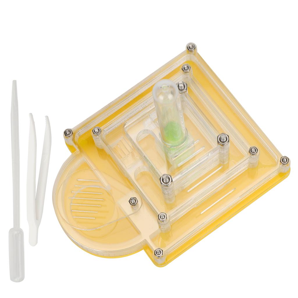Acryl Ameisen Zuchtbox Transparent Beobachten Fütterungsbehälter Ameisenhaus Spielzeug für Kinder