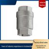 304 Stainless Steel High Temperature Steam Check Valve