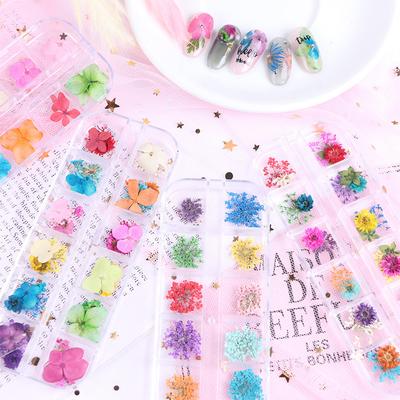 3D Nail Manicure Dried Flowers 12 Kinds Colorful Realistic Diy Crafts Resin Jewelry Ornaments Phone Cases Invitation Cards Decor