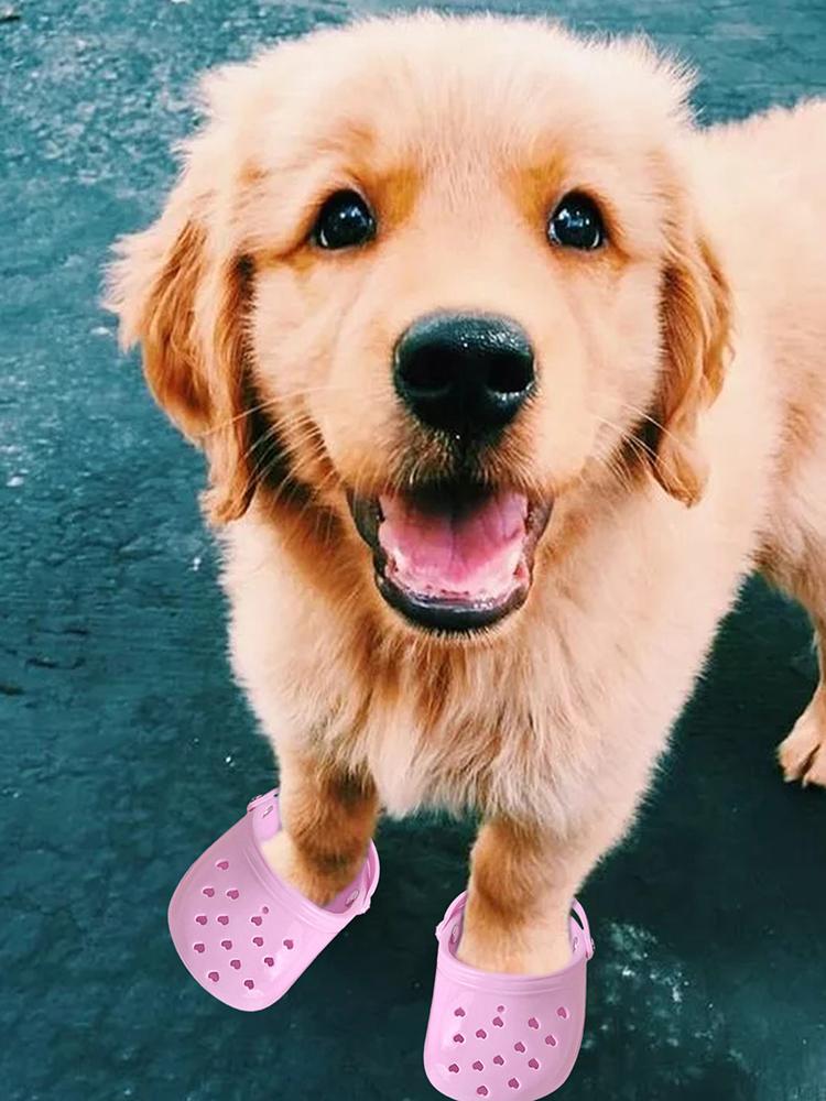 Giocattolo Masticabile per Cani Pantofole Traspiranti per Animali Domestici Calzature Antiscivolo per Cani di Taglia Grande Scarpe Bucate Color Caramella Scarpe per Cani Traspiranti in Rete Estive