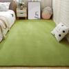 Soft Coral Fleece Carpet for Bedroom and Living Room - Full Coverage and Comfortable