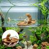 1Pc Creative Cat Fishing Boat Aquarium Ornament Premium Resin Marine Theme Durable Fish Tank Landscape Decor Aquarium Ornament