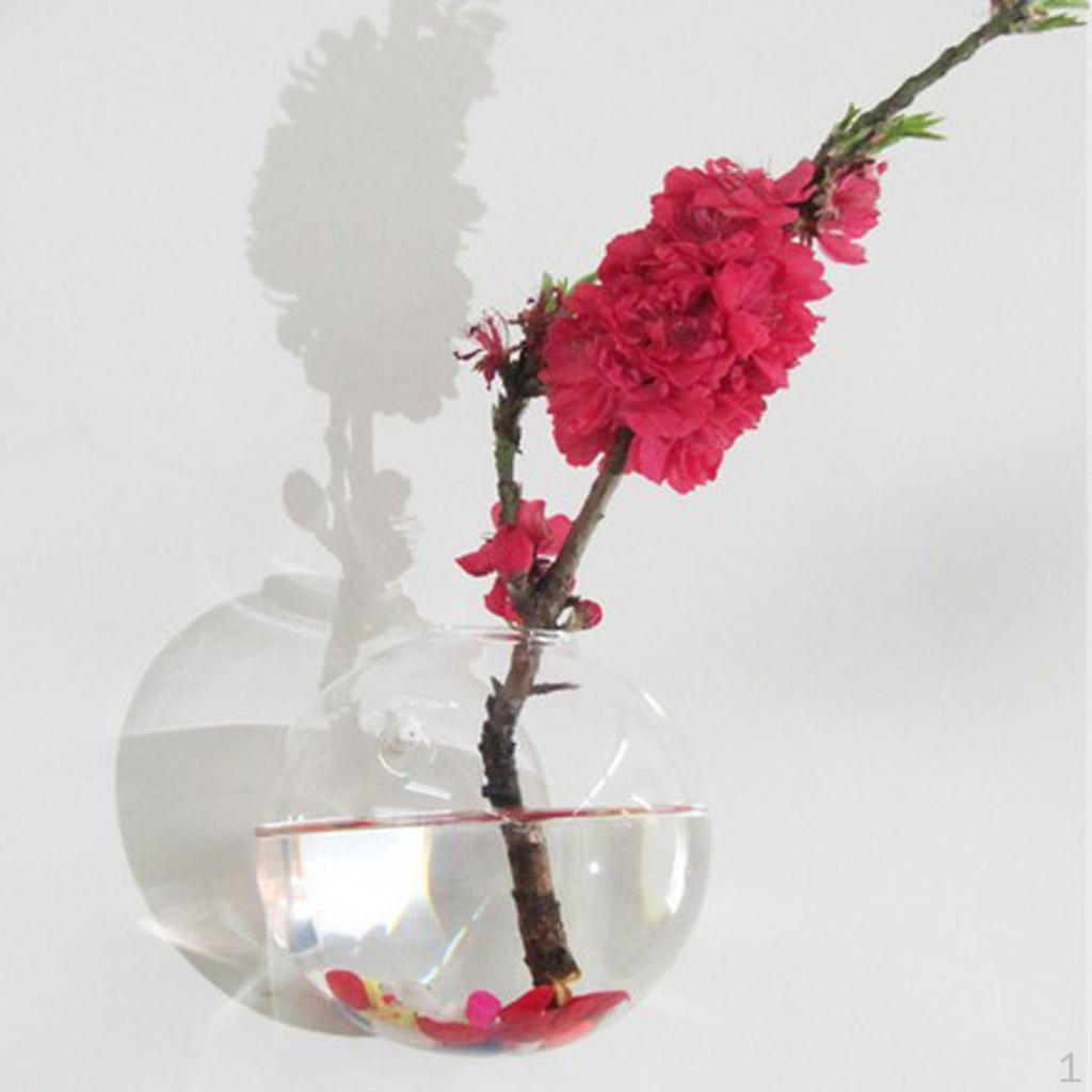 Стеклянная ваза Цветочный горшок Аквариум Террариум Настенные горшки Ball 10cm