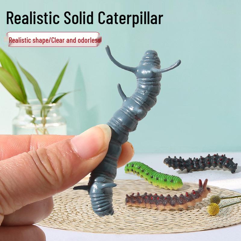 

Обучающие игрушки для детей для распознавания насекомых: Реалистичные модели обучения