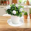 Round Plant Saucer for Pots 11.81 Inch Water Drip Tray Movable Heavy Duty Base for Indoor Outdoor Flower Planter