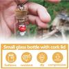 30 Pack Small Glass Bottles with Cork Stoppers, Small Mini Glass Bottles Tiny Jars with Cork Lids, 1ml