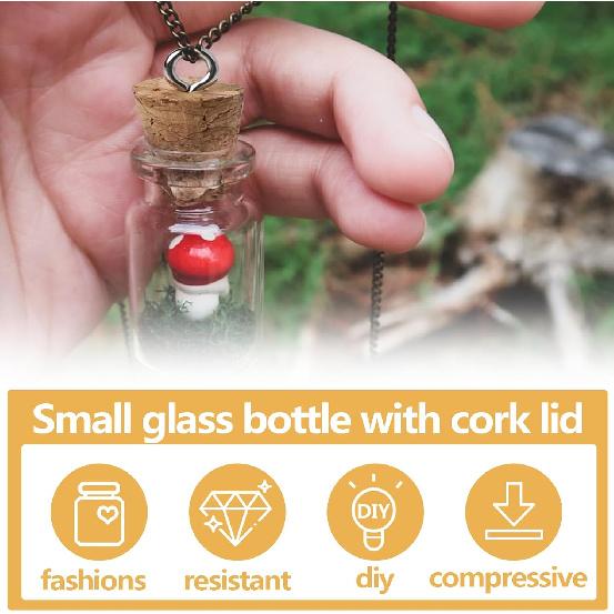 30 Pack Small Glass Bottles with Cork Stoppers, Small Mini Glass Bottles Tiny Jars with Cork Lids, 1ml