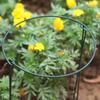 Plant Stand Rustproof Garden Plant Support Climbing Frame Durable Iron Plant Holder for Tomatoes Peonies Balcony Office Yard
