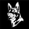 3D Waterproof Cute Scorpion Motorcycle Car Stickers and Decals Car Styling Stickers Funny Car Stickers For All Car