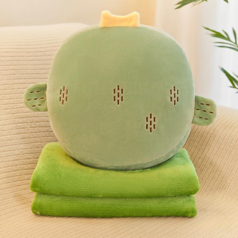 

Fruit Plush Pillow With Warmth Blanket For Summer Relaxation And Office Comfort Cactus