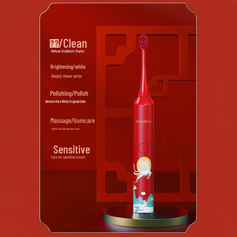 ROAMAN G10 Sonic Electric Toothbrush for Adults CN Plug (adapter Included)