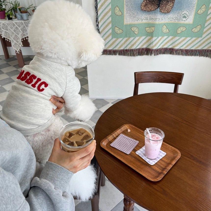 

Модная зимняя одежда для собак, теплое пальто для щенков, толстовки с капюшоном для собак, свитер с надписью, одежда для домашних животных, свитер для щенков французского бульдога, рубашка S