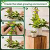 2/4/6Pcs Moss Pole Plastic Plant Pole Stick Reusable Transparent Plant Support Gardening Supplies Accessory for Climbing Plants