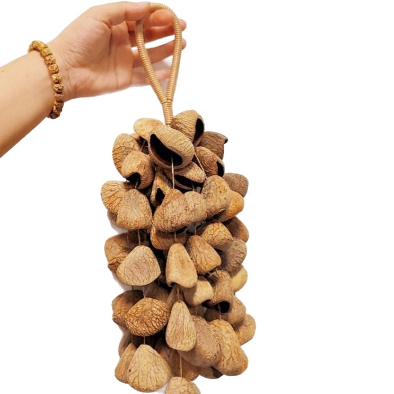 Fruit Wind Chimes Sound Therapy Fruit Instruments Accompaniment Chimes Indonesian Sound Bundle Yoga Fruit Shell Handbells
