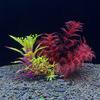 Fish Tank Landscapings Simulation Aquatic Plant Aquarium Decoration Plant Artificial Flowers Ornaments Pet Supplies