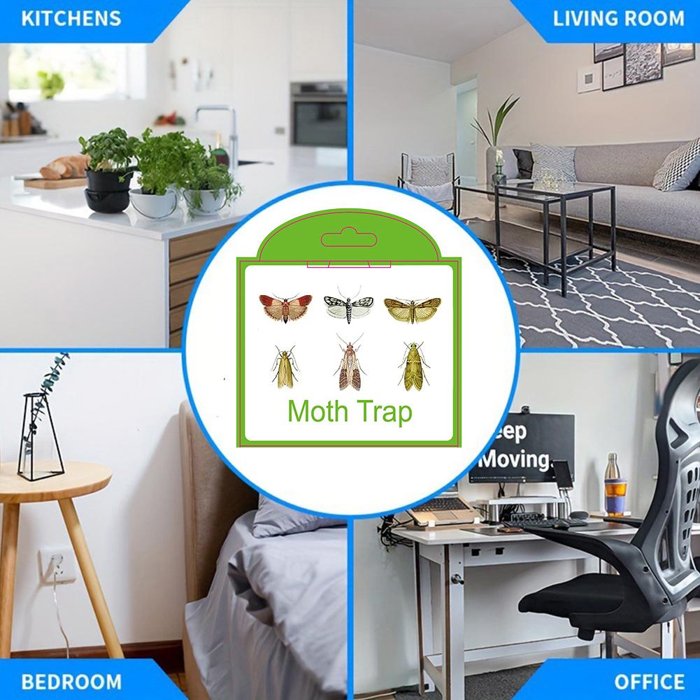 5Pcs Pantry Moth Traps with Pheromones Prime Sticky Glue Indian Meal Moth Traps Clothes Moth Traps for Food Cupboard