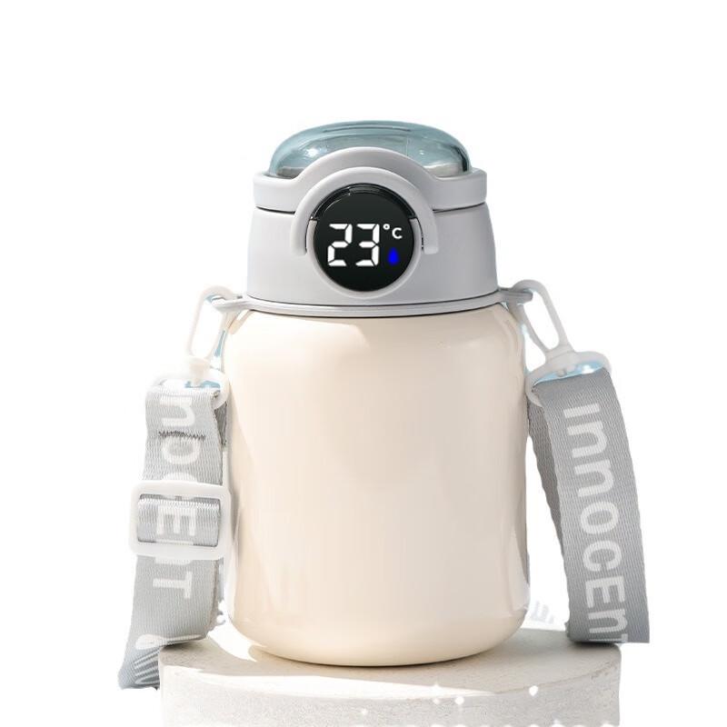 Temperature Display Insulated Straw Water Bottle