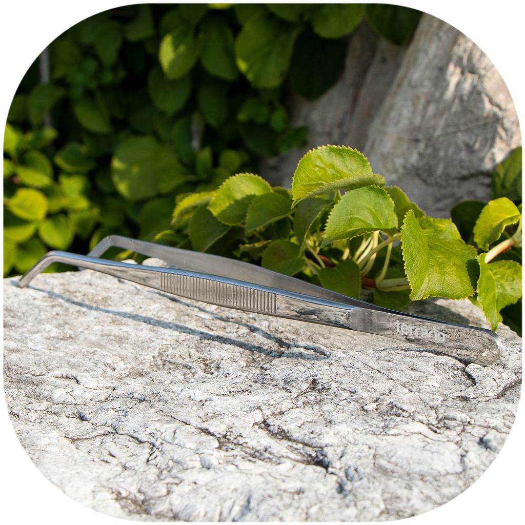 Long Angled Tweezers 30cm For Feeding, Cleaning, and Reptile Terrariums