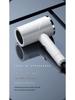 European-American High-Power Silent Ion Hair Dryer with Blue Light for Dorms (Japanese Standard)