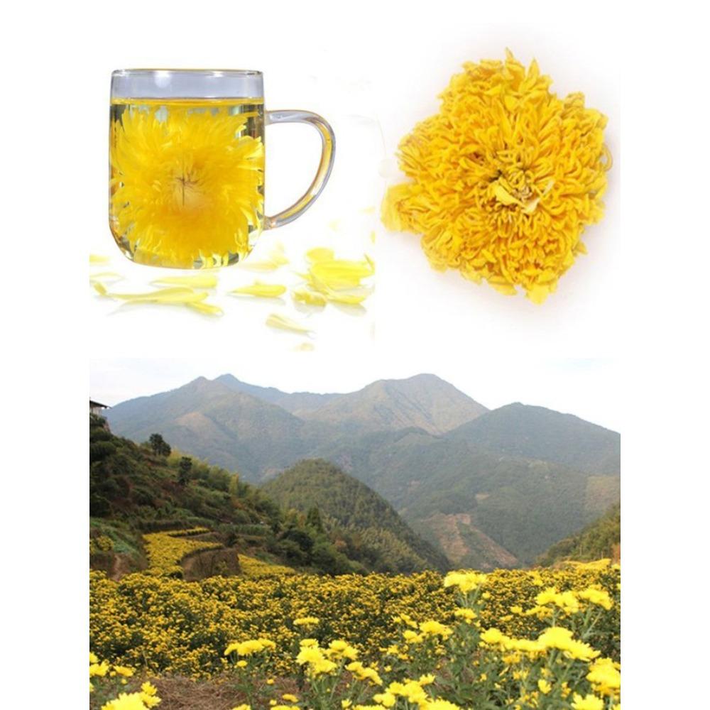 Organic Gold Chrysanthemum Tea 4 Pcs Large Cup Brew Summer Healthy Beverage