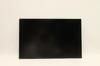 Lenovo Lcd Inx N160Jca-Eel, 5D10V82408