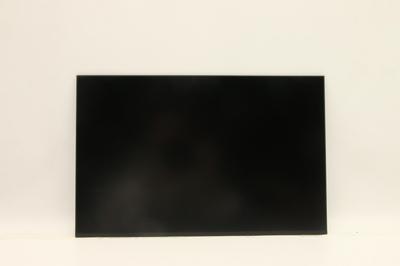 Lenovo Lcd Inx N160Jca-Eel, 5D10V82408