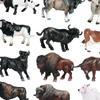 12Pcs Cow Animal Model Educational Learning Toys Simulation Figures Cattle Figurine for