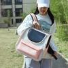 Pet Portable Cat Bag Portable Shoulder Foldable Bag Going Backpack Cartoon Cat Bag Dog Pet Backpack