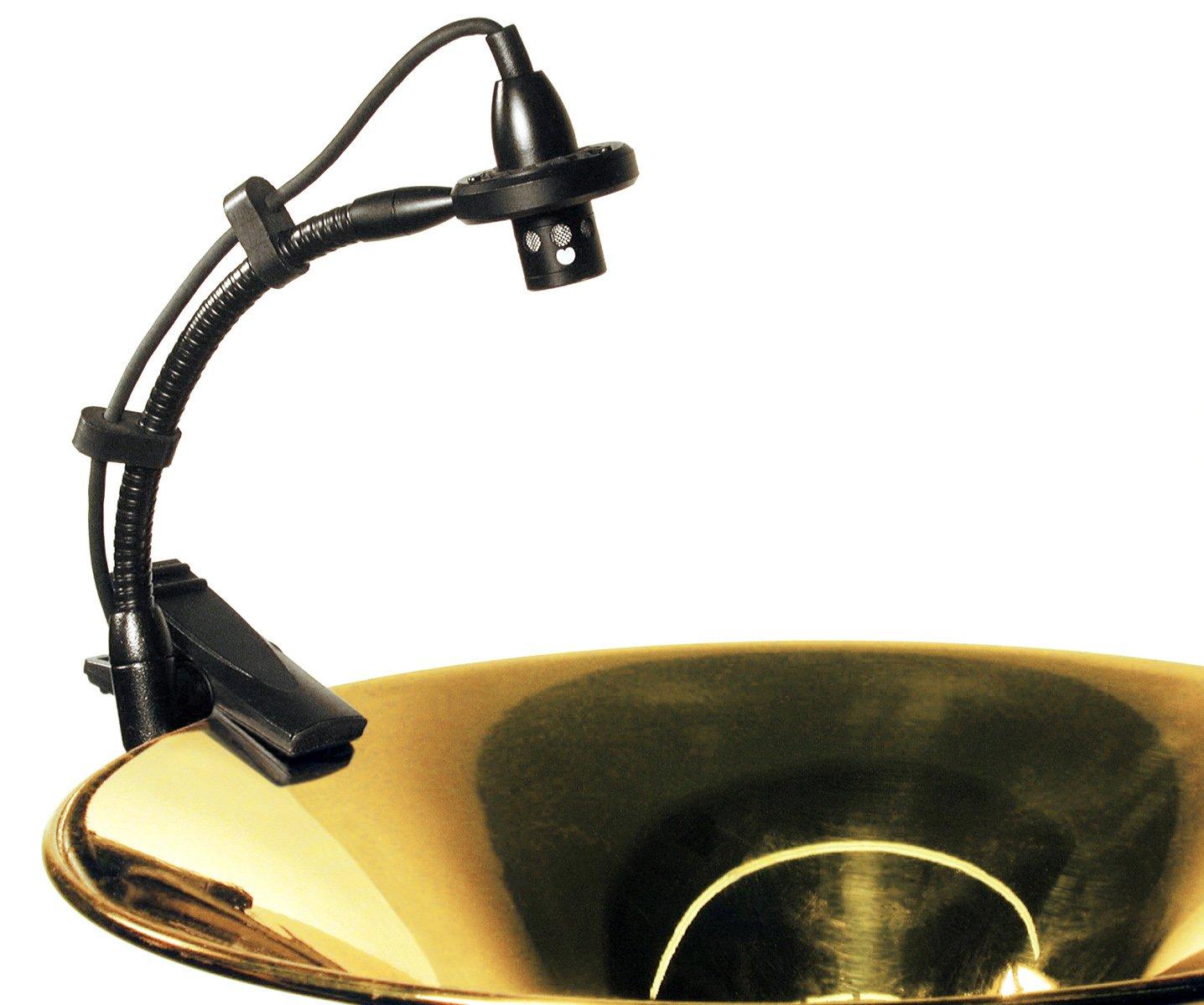 

AUDIX ADX20iP Cardioid Condenser Microphone for Wind Instruments