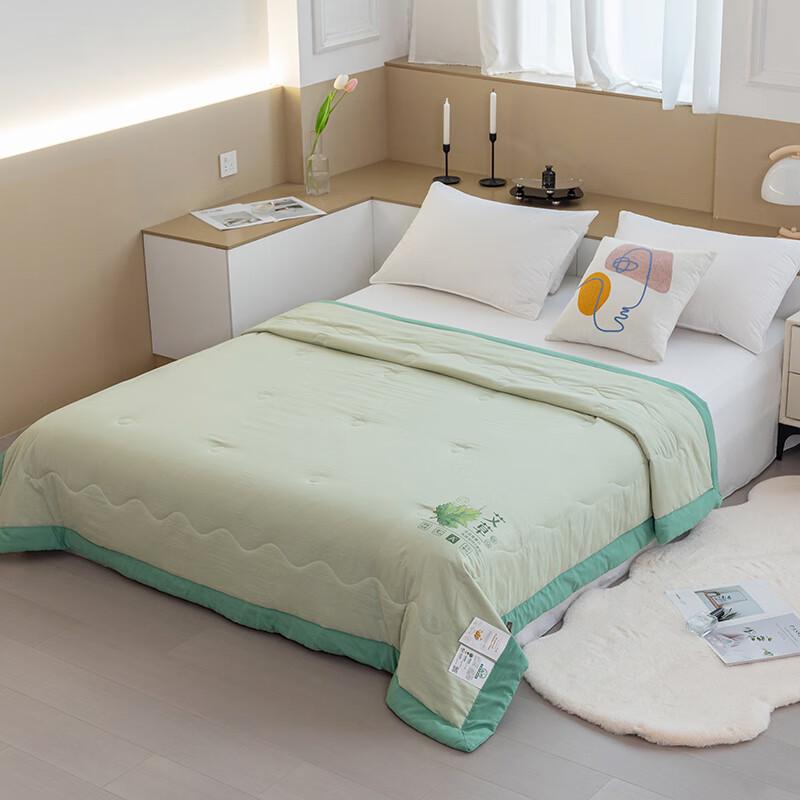 Mulainxi Mugwort Protein Mosquito Repellent Summer Quilt