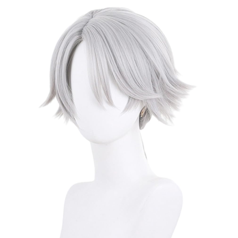LAOBAO Cosplay Wig - Embalmer Aesop Carl Gut Silver Hair Ponytail Wig - Heat Resistant - Costume Accessory for Parties, Halloween, Festivals, Events,