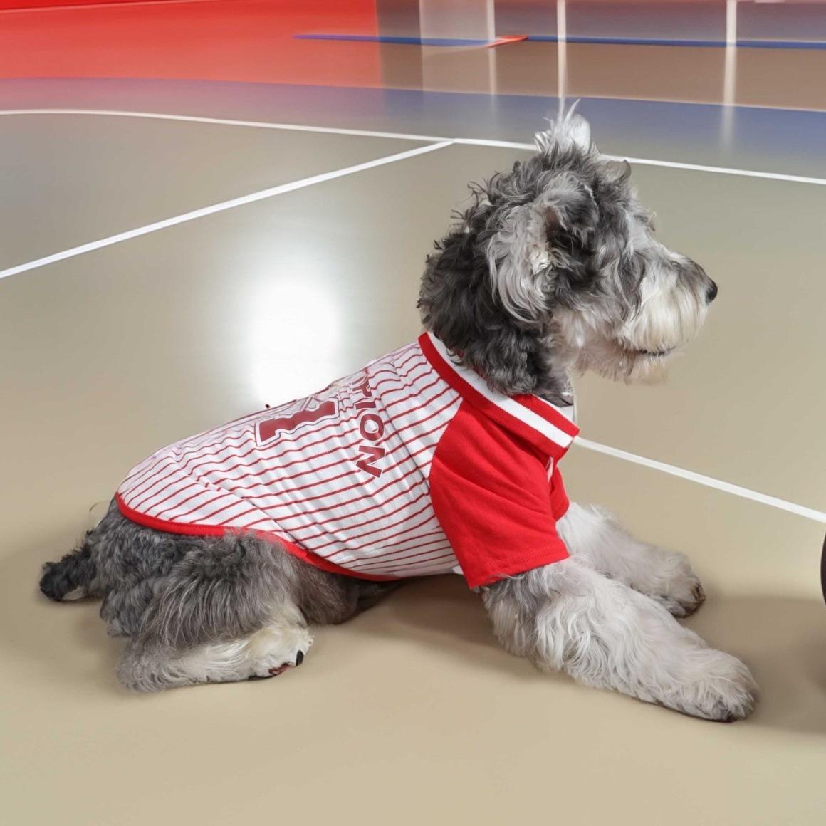 

Chinese New Year summer clothing teddy dog clothes polo vest medium and small dog thin cute pet clothes manufacturer XS