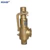 XGAQF Brass Full-Lift Spring Safety Valve